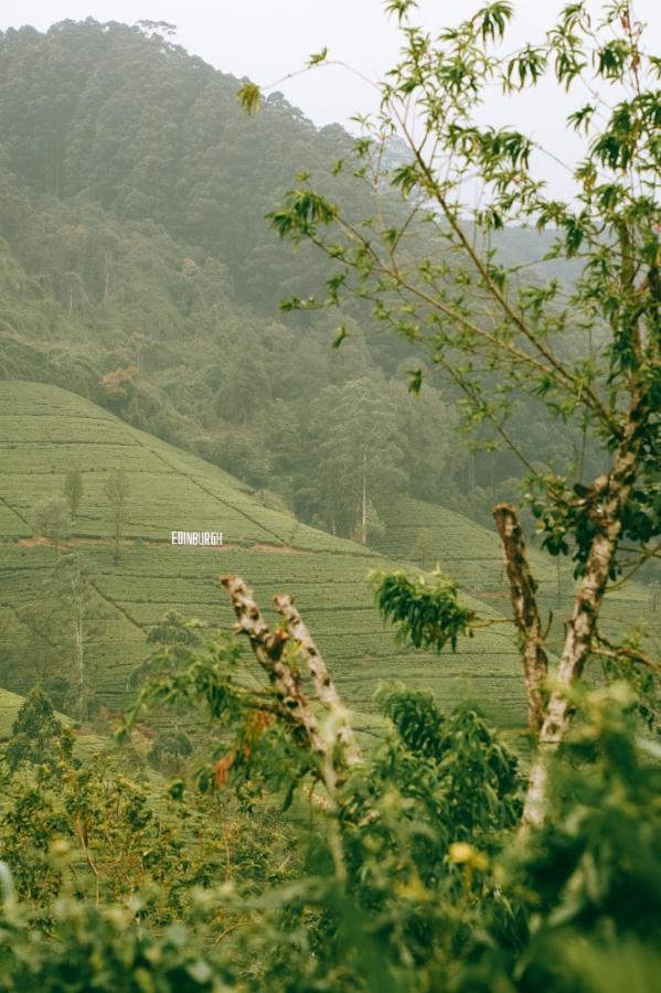 The Train View Bed & Breakfast Nuwara Eliya